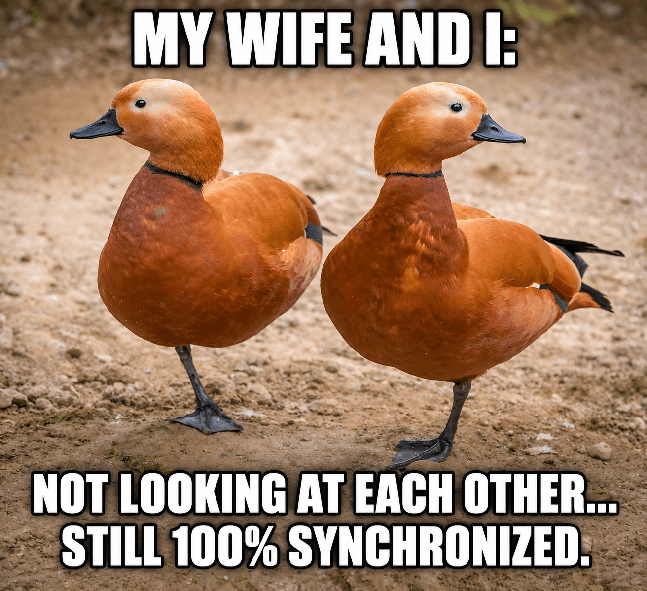 Still 100% synchronized with wife