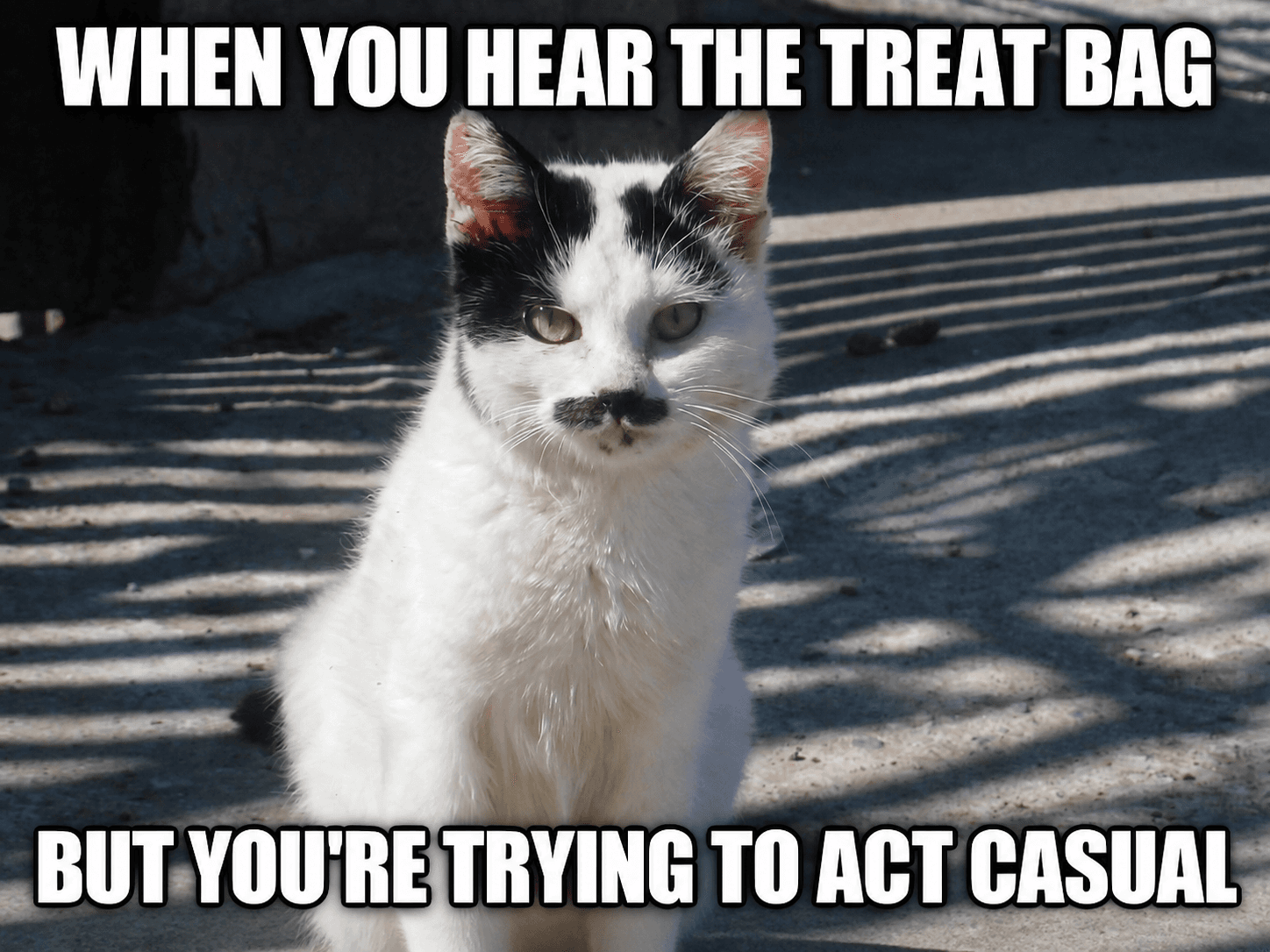 Trying to act casual