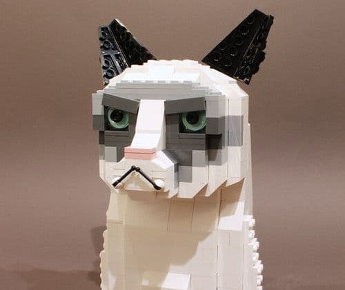 LEGO grumpy cat