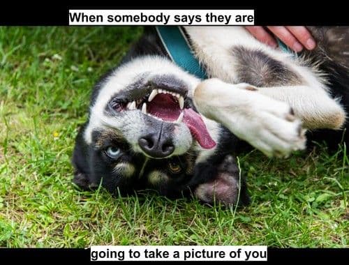 When somebody says the are going to make picture of you